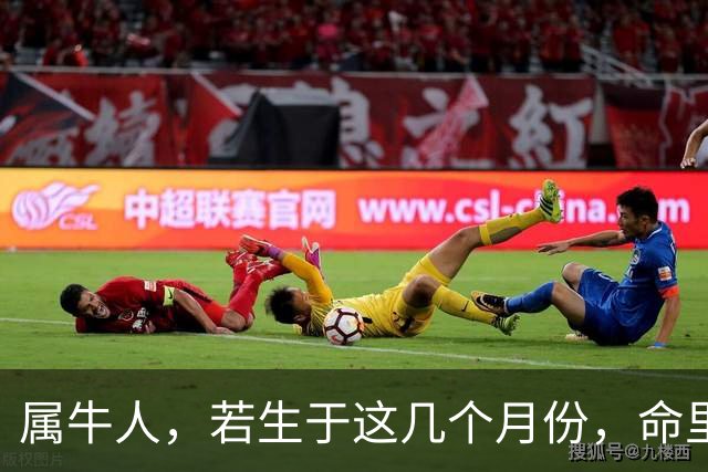 属牛人，若生于这几个月份，命里福运相伴，岁岁平安顺遂！