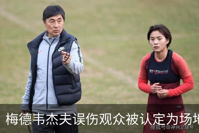 梅德韦杰夫误伤观众被认定为场地内鲁莽击球，因此直接判负